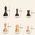 Comparison lineup of the 1950s Fischer Dubrovnik chess pieces, showing the height ratio between the King, Queen, Bishop, Knight, Rook, and Pawn.