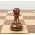 Polished golden rosewood Alban Knight Staunton chess piece pawn centered on a square.